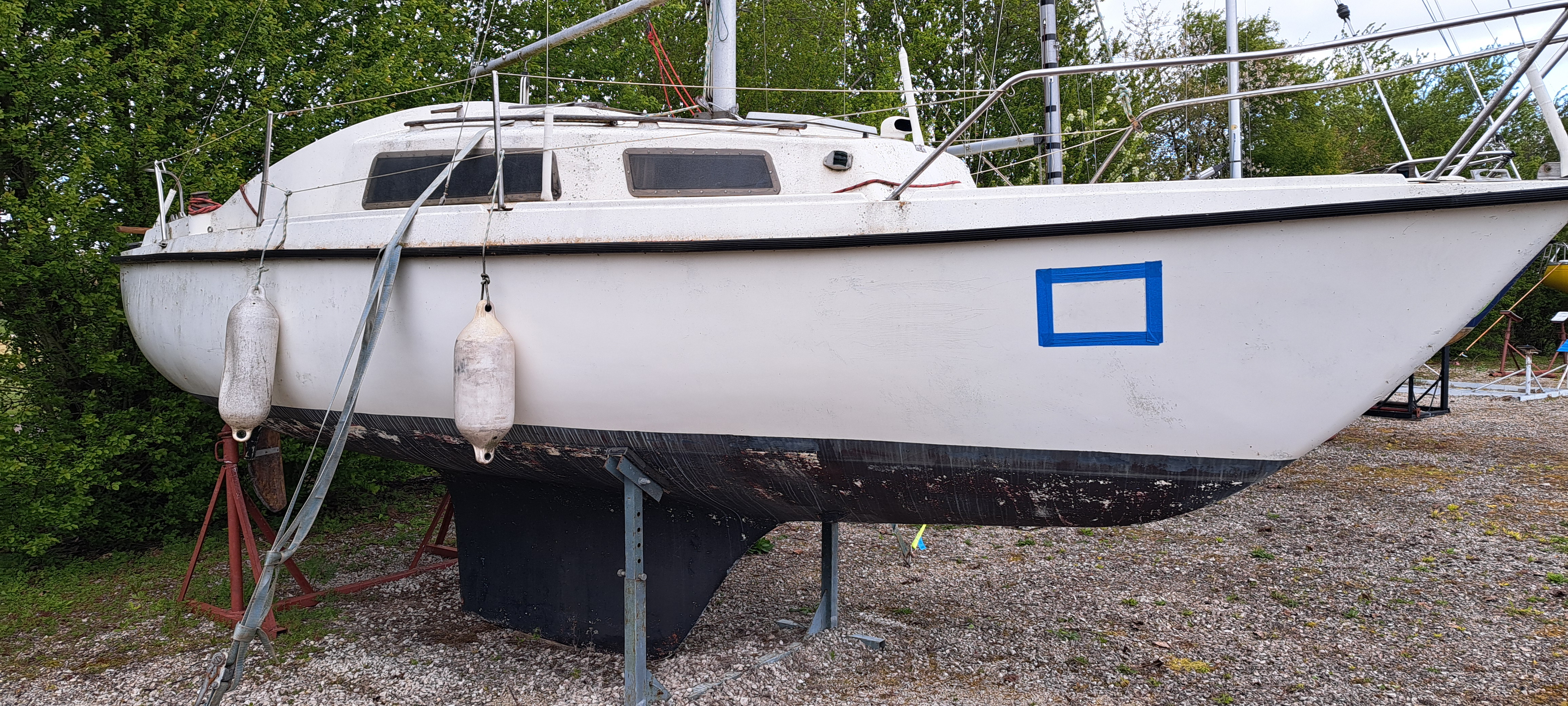 Image 2 de A vendre Daimio