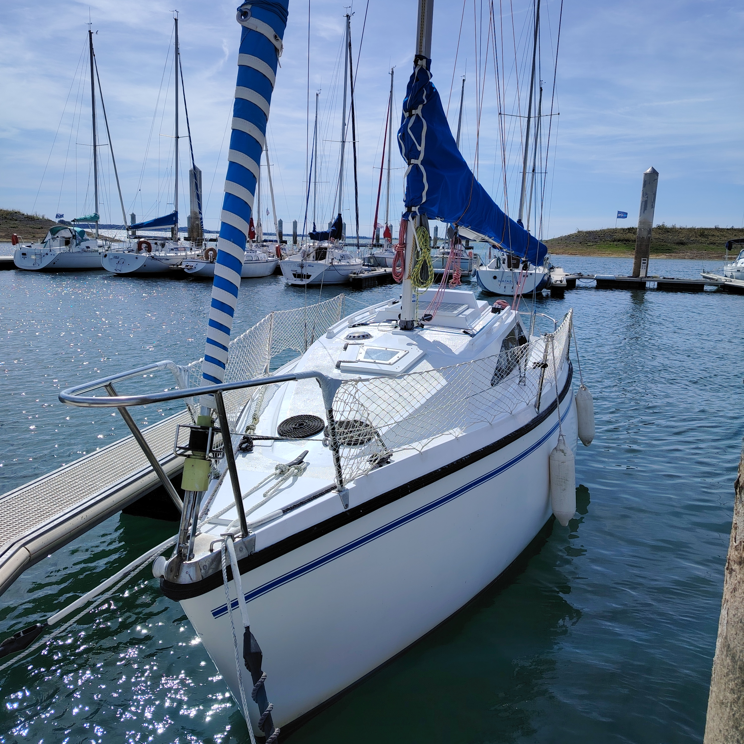 Bi Loup 7.65 Biquille