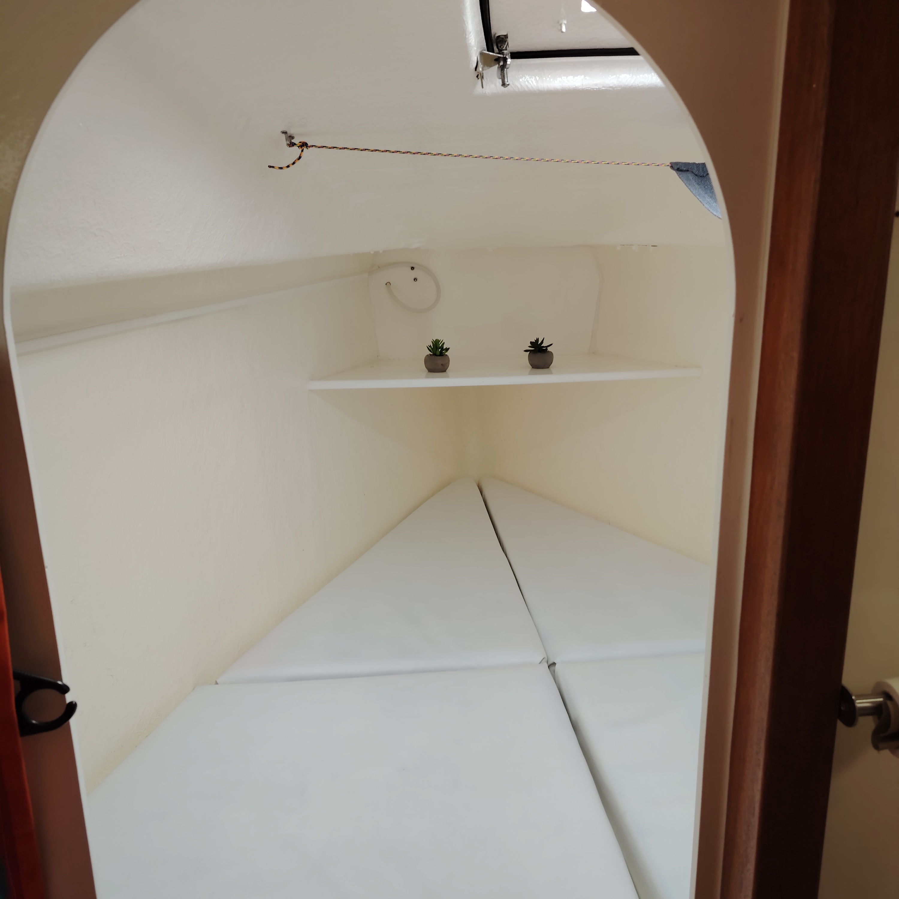 Image 4 de Bi Loup 7.65 Biquille